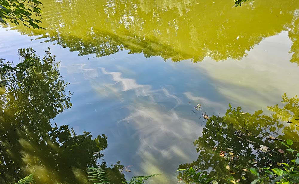 Artikelbild Aktuelles Spiegelungen