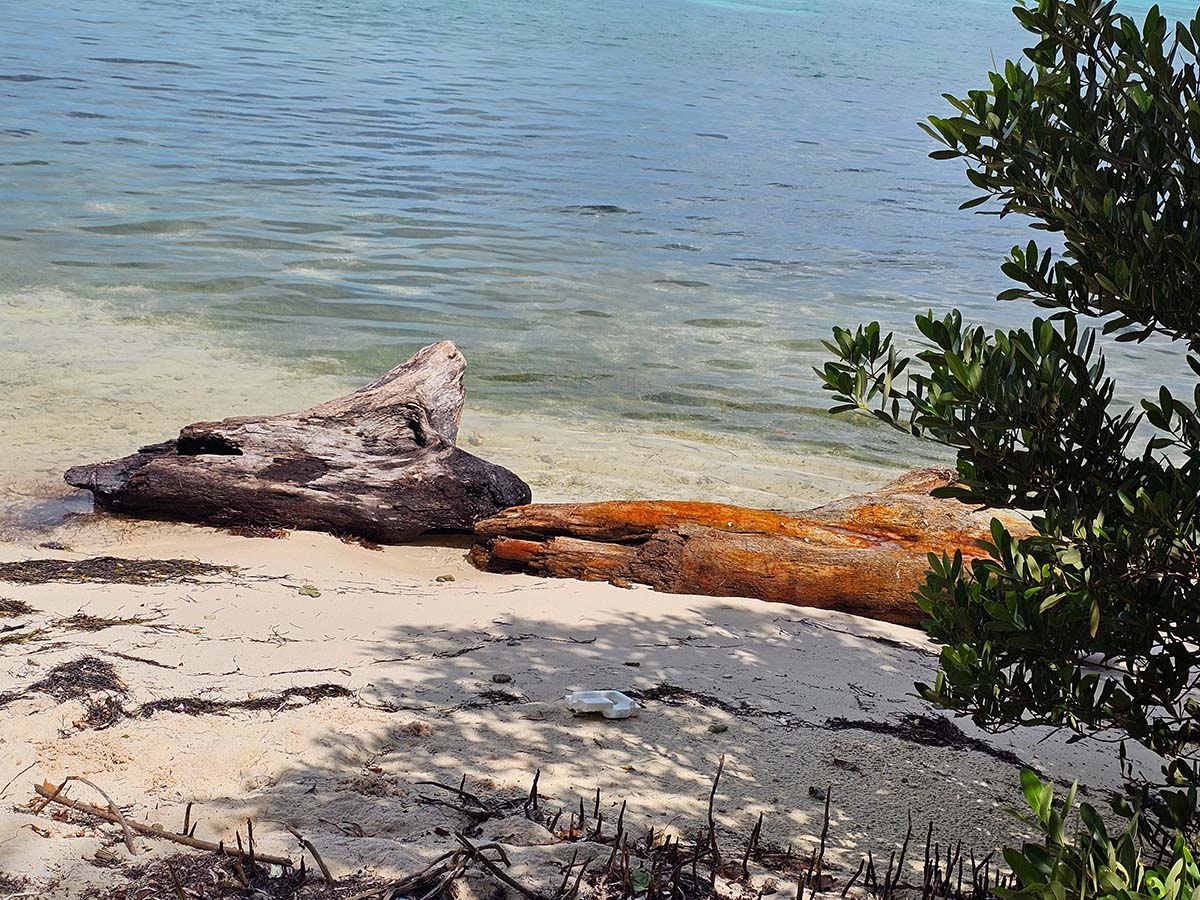 Strand mit Treibgut